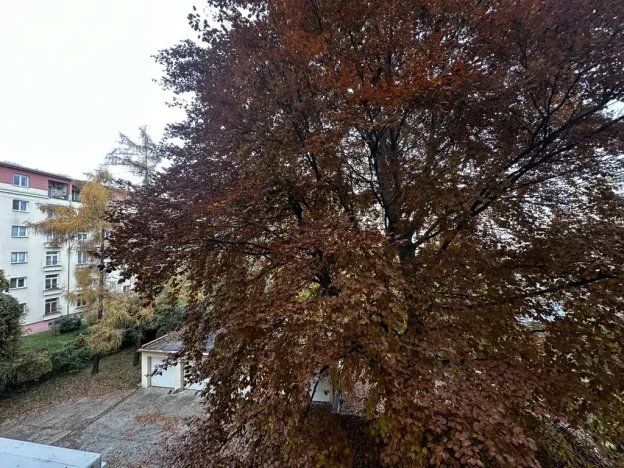 Pronájem bytu 3+1, Praha - Vršovice, Vršovická, 86 m2