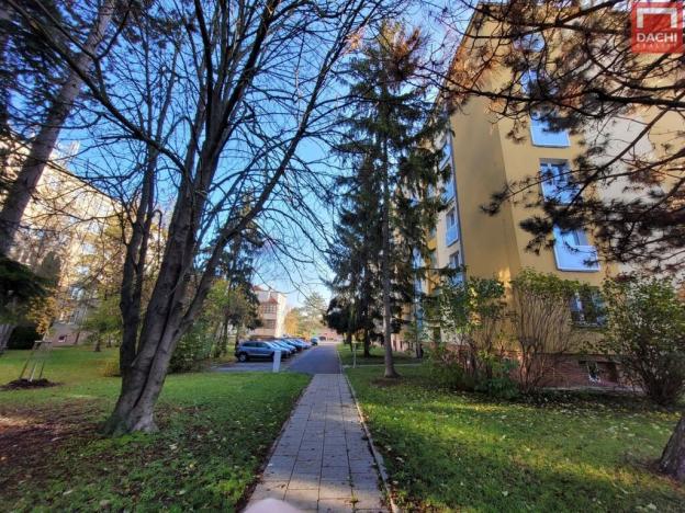 Pronájem bytu 1+1, Olomouc - Nová Ulice, Foerstrova, 35 m2