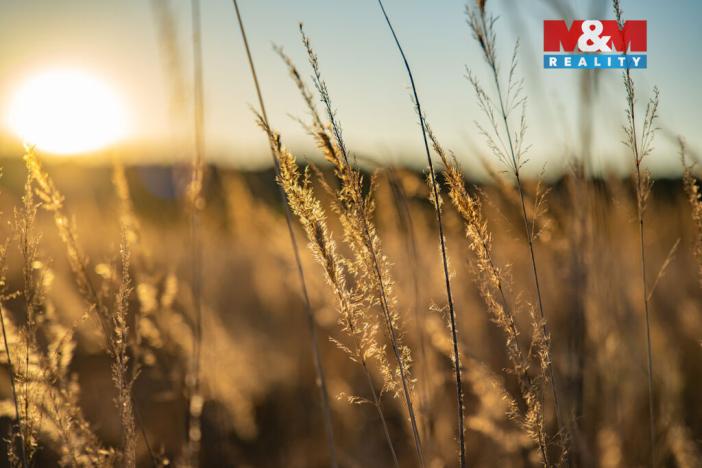 Prodej pozemku pro bydlení, Nová Ves, 758 m2