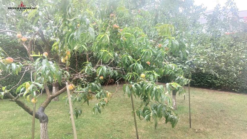 Prodej vily, Praha - Suchdol, 243 m2