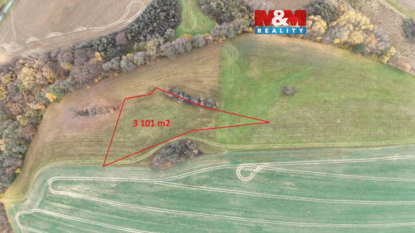 Prodej louky, Skuteč, 3101 m2