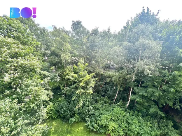 Prodej bytu 1+kk, Ostrava, Bohumínská, 25 m2