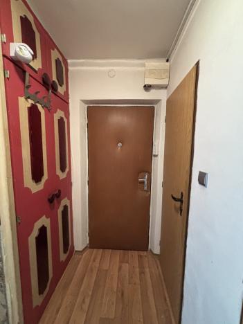 Pronájem bytu 3+1, Pardubice - Polabiny, Křičkova, 58 m2