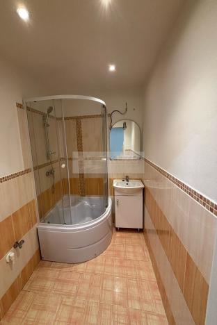 Pronájem bytu 1+1, Chomutov, Holešická, 42 m2