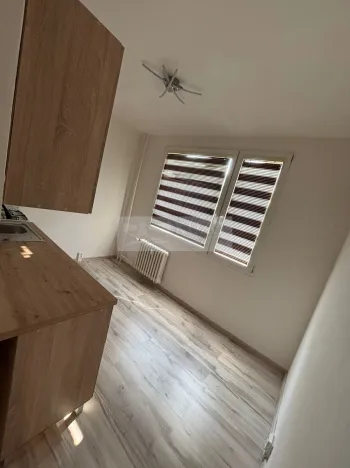 Pronájem bytu 1+1, Chomutov, Holešická, 42 m2