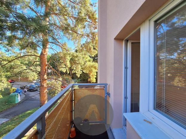 Pronájem bytu 3+1, Brno, Bieblova, 54 m2