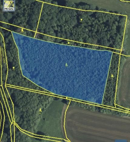 Prodej lesa, Lánov - Horní Lánov, 11269 m2