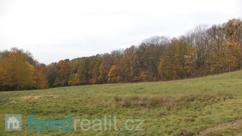 Prodej pozemku, Nový Jičín - Žilina, 6670 m2