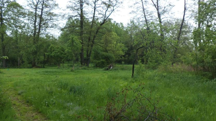 Prodej pozemku, Vlčice, 1387 m2