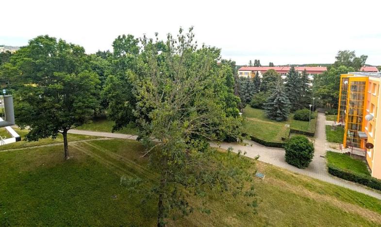 Prodej bytu 2+1, Most, Zdeňka Štěpánka, 53 m2