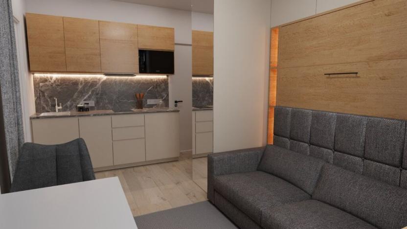 Prodej apartmánu, Český Šternberk, 21 m2