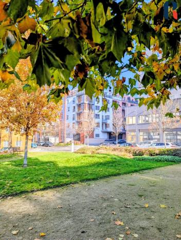 Prodej bytu 1+kk, Praha - Žižkov, Roháčova, 40 m2