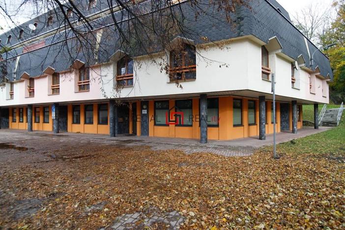 Prodej obchodního prostoru, Ostrava, U Staré elektrárny, 533 m2