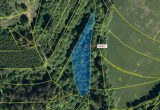 Dražba lesa, Hovězí, 2626 m2
