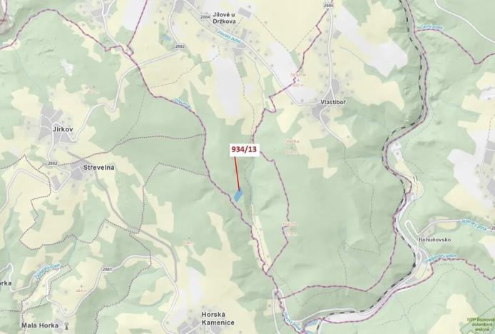 Dražba lesa, Jílové u Držkova, 6213 m2