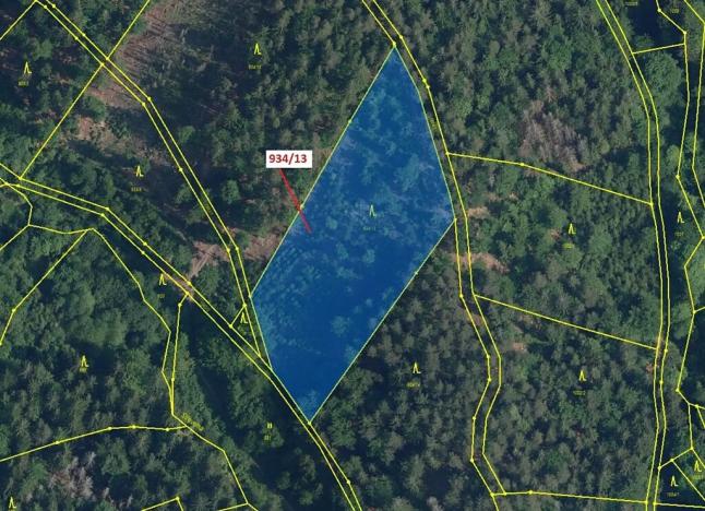 Dražba lesa, Jílové u Držkova, 6213 m2