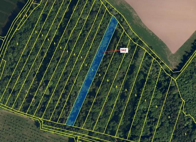 Dražba lesa, Hradčany-Kobeřice, 5428 m2