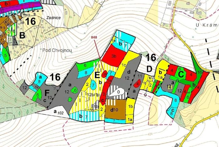 Dražba lesa, Nové Dvory, 81658 m2