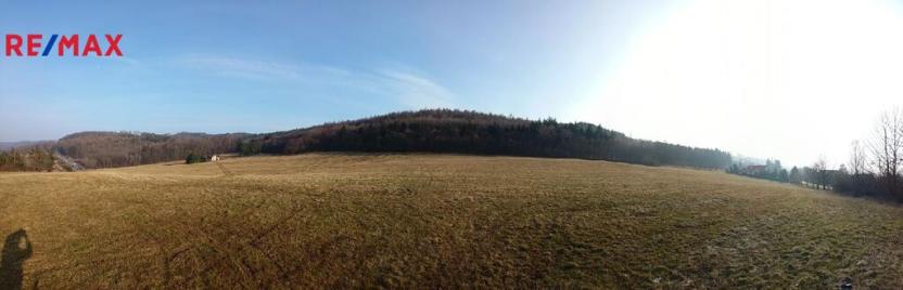Prodej pozemku pro bydlení, Střílky, 4460 m2