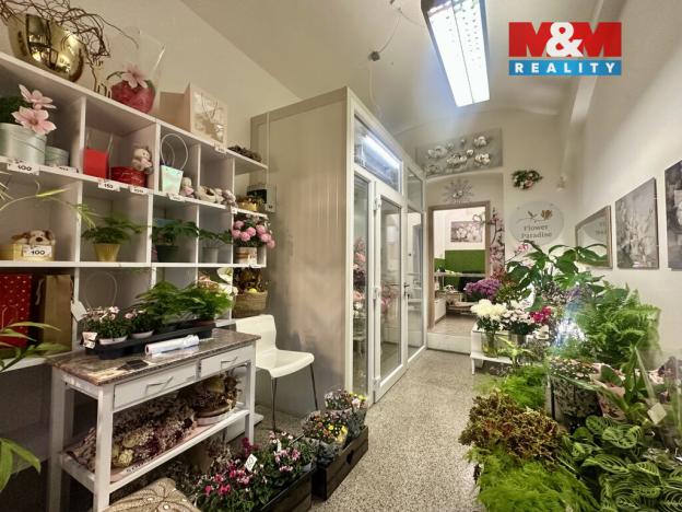 Pronájem obchodního prostoru, Praha - Vinohrady, Francouzská, 29 m2