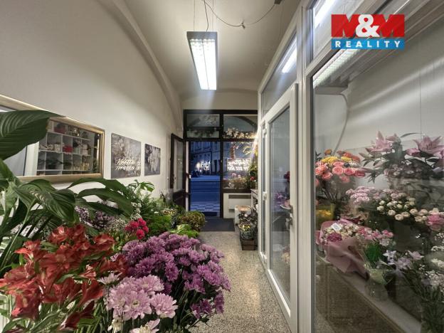 Pronájem obchodního prostoru, Praha - Vinohrady, Francouzská, 29 m2