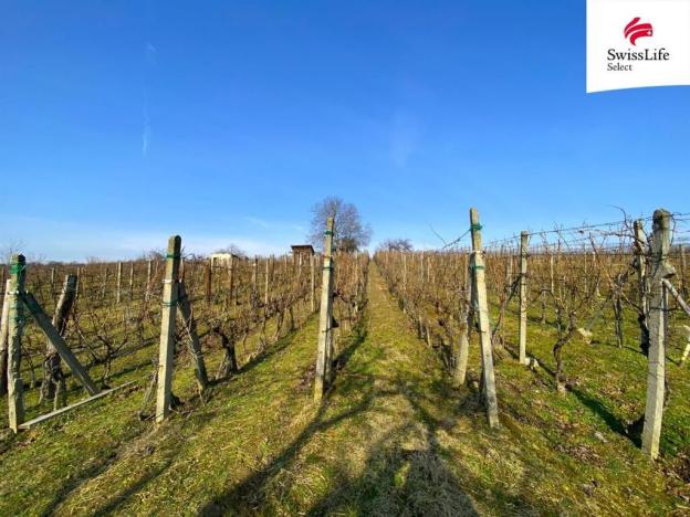 Prodej komerčního pozemku, Bzenec, 1748 m2