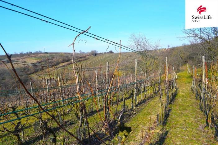 Prodej komerčního pozemku, Bzenec, 1748 m2