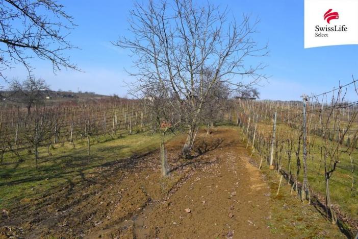 Prodej komerčního pozemku, Bzenec, 1748 m2