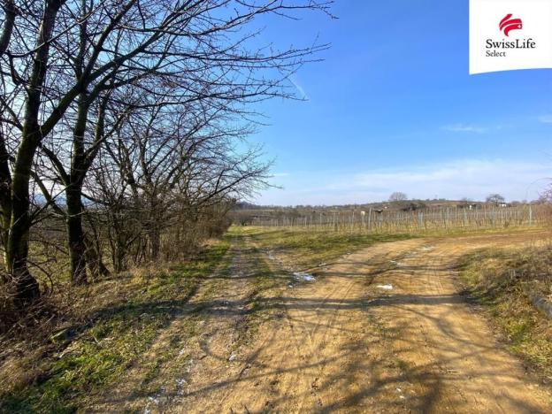 Prodej komerčního pozemku, Bzenec, 1748 m2