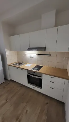 Prodej bytu 1+kk, Brno, Stará, 45 m2