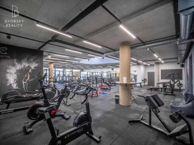 Prodej obchodního prostoru, Mladá Boleslav, Mileny Hážové, 4857 m2