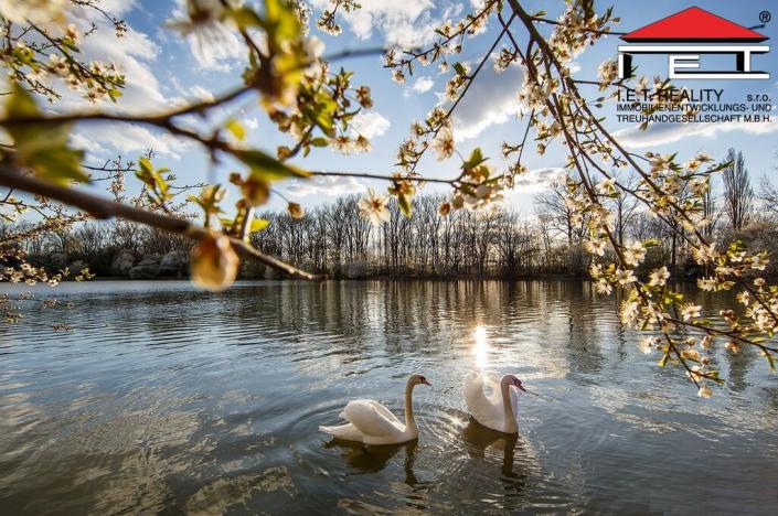 Prodej bytu 4+kk, Brno - Holásky, 89 m2