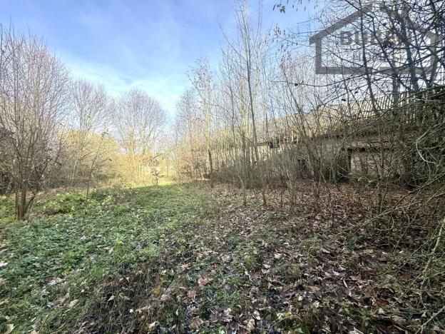 Prodej zemědělského objektu, Stráž - Olešná, 2210 m2