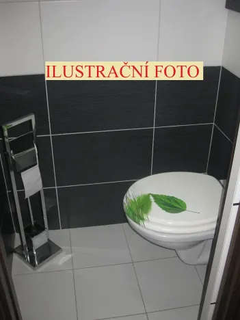 Pronájem bytu 3+1, Držovice, 90 m2