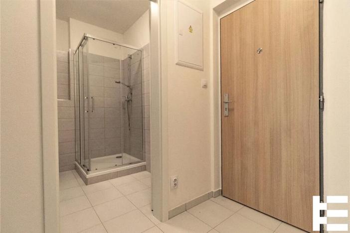 Pronájem bytu 1+kk, Plzeň, K Zelené louce, 31 m2