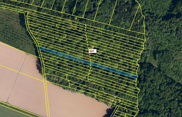 Dražba lesa, Hradčany-Kobeřice, 1989 m2