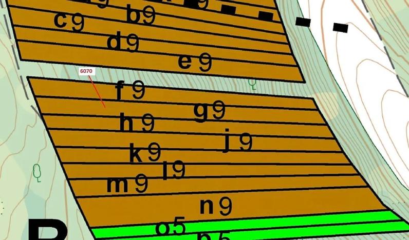 Dražba lesa, Archlebov, 2892 m2