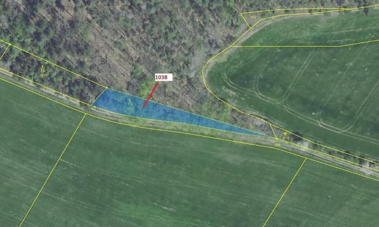 Dražba lesa, Nové Dvory, 953 m2