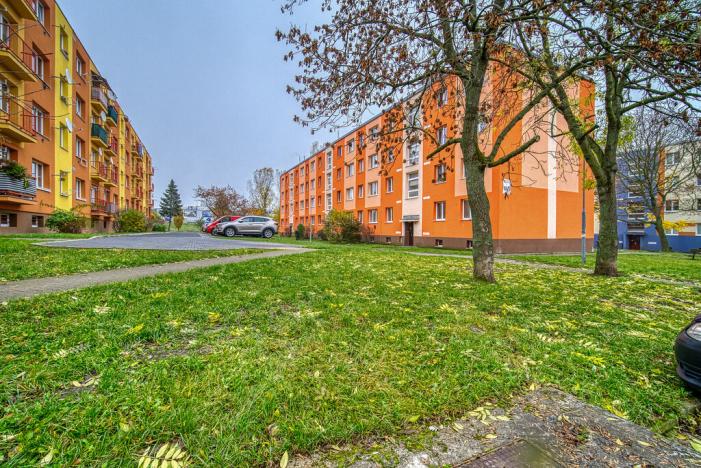 Pronájem bytu 3+1, Litvínov - Horní Litvínov, Vinohradská, 60 m2