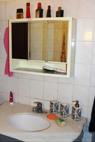 Pronájem pokoje, Praha - Horní Počernice, Běluňská, 12 m2