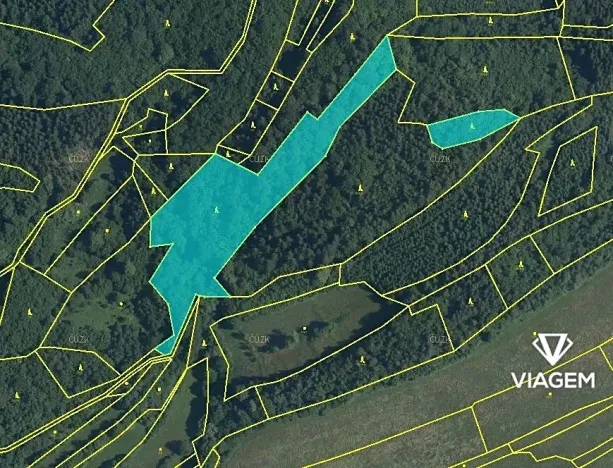 Prodej podílu lesa, Lužná, 3087 m2