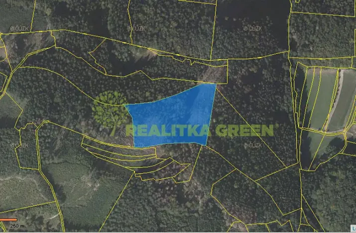 Prodej lesa, Růžďka, 21209 m2