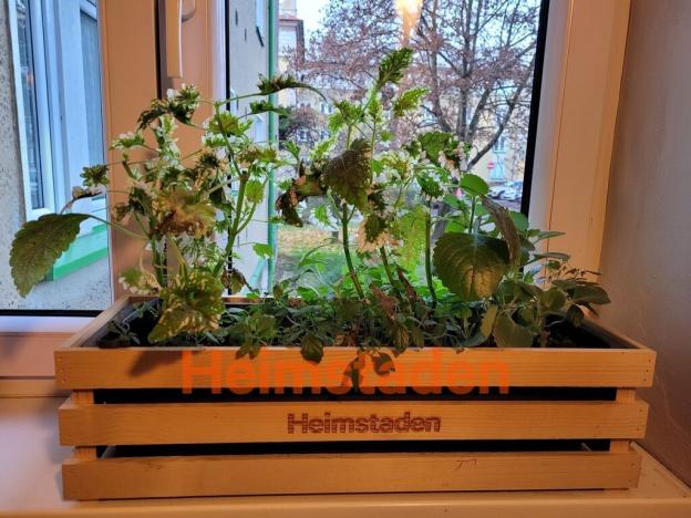 Pronájem bytu 2+1, Havířov - Město, Marie Majerové, 55 m2