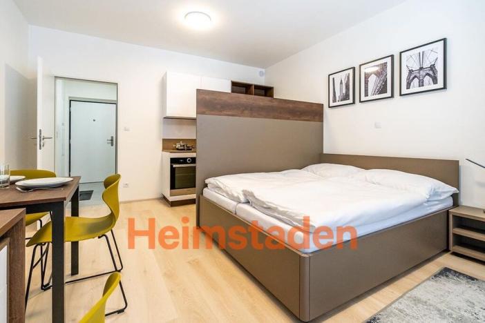 Pronájem bytu 1+kk, Plzeň - Jižní Předměstí, Magisterská, 30 m2