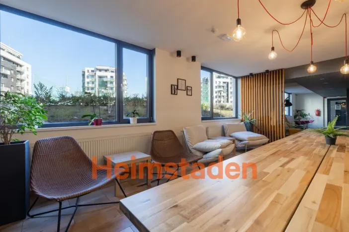 Pronájem bytu 1+kk, Plzeň - Jižní Předměstí, Magisterská, 30 m2