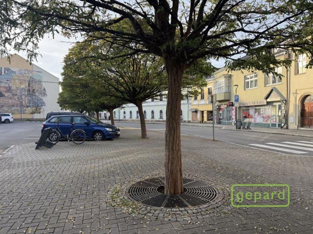 Pronájem obchodního prostoru, Šternberk, ČSA, 88 m2