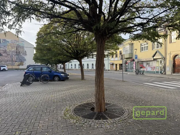 Pronájem obchodního prostoru, Šternberk, ČSA, 88 m2