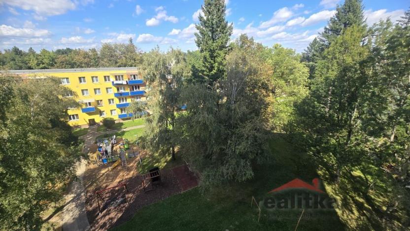 Prodej bytu 3+1, Opava - Předměstí, Haškova, 67 m2