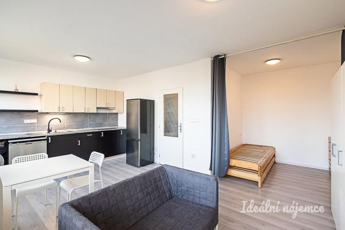 Pronájem bytu 1+kk, Praha - Záběhlice, Topolová, 30 m2