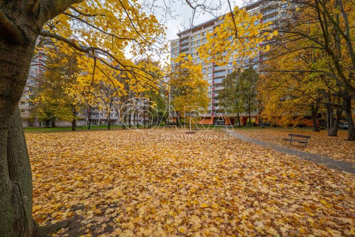 Pronájem bytu 3+1, Praha - Kobylisy, Střekovská, 64 m2